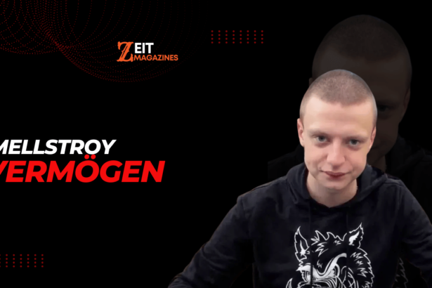 Mellstroy Vermögen